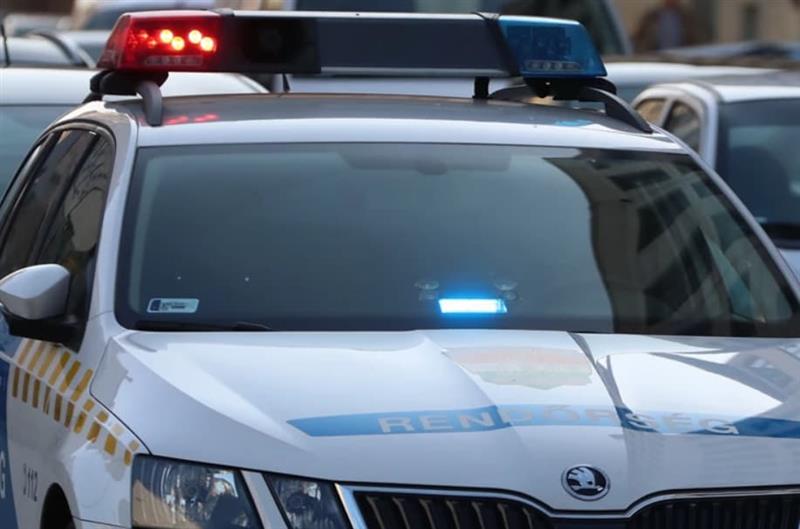 Кавга на две тинејџерки доведе до масовна тепачка на нивните семејства- „летаа“ лопати и мотики (ВИДЕО)
