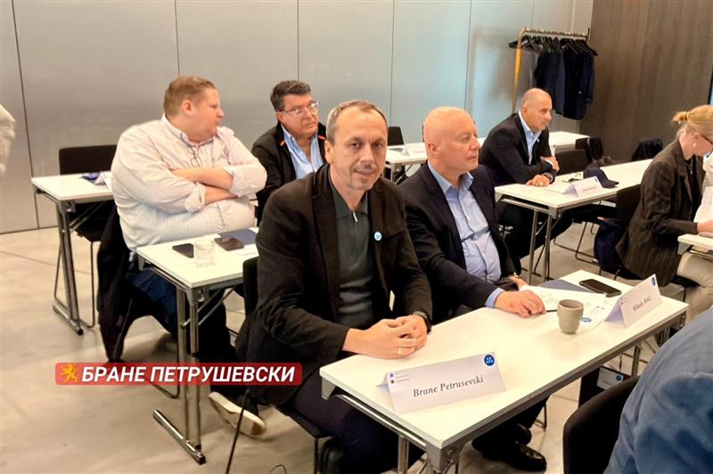 ВМРО-ДПМНЕ со свои претставници на шведските избори