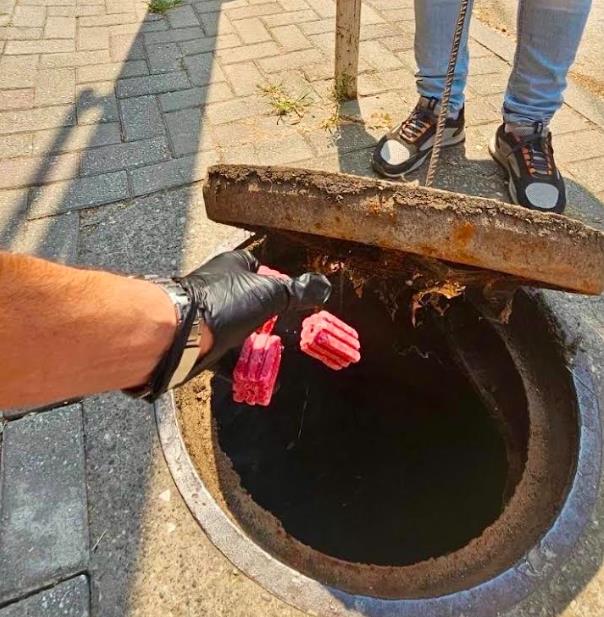 Герасимовски: Во понеделник спроведуваме нова вонредна дератизација во Центар