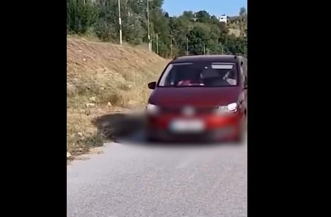 Скопјанец возел по пешачката патека покрај Вардар- казнет е 