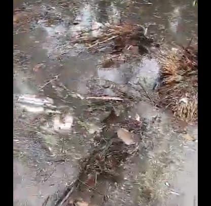 Се урна воен авион со 32 патника во Нигерија- пронајдени се делови на тела (ВИДЕО)