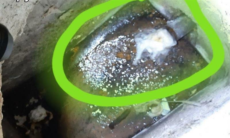 Станари од зграда пријавиле поплава од фекалии од див приклучок  на угостелски објект, општина Аердром со став „винови се жителите“