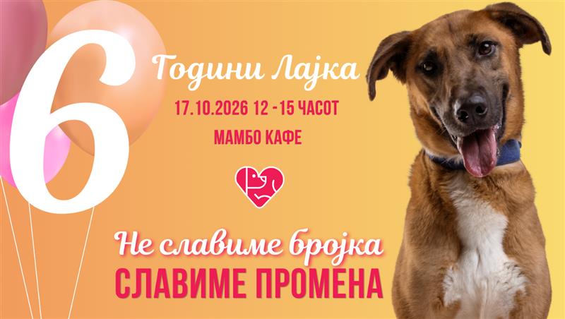 „6 години Лајка – Не славиме бројка, славиме промена"