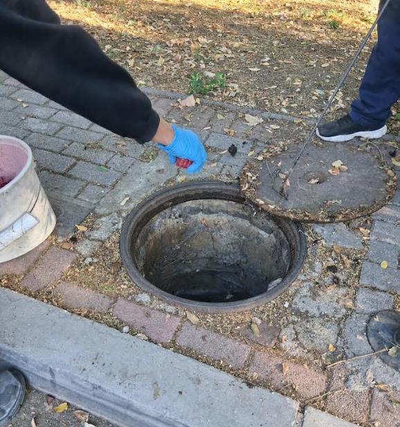 Герасимовски: Редовна есенска дератизација во Центар, опфатени 2.000 шахти