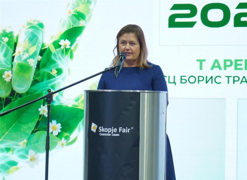 Божиновска: Иновациите и новите технологии се клучни за посигурен енергетски систем и поконкурентна економија